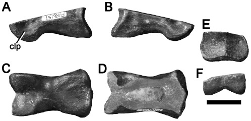 Figure 23