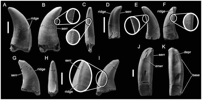 Figure 24