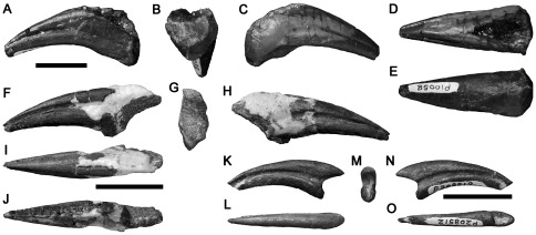 Figure 16