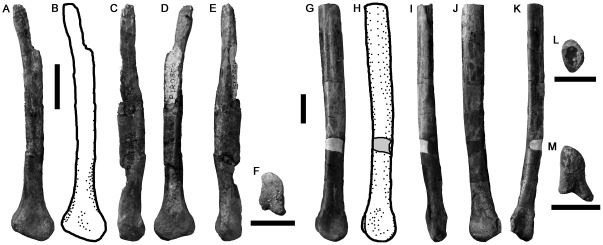 Figure 22