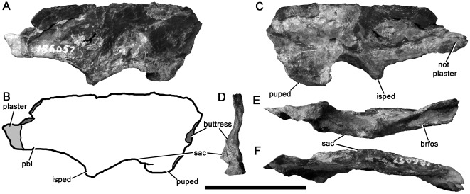 Figure 17