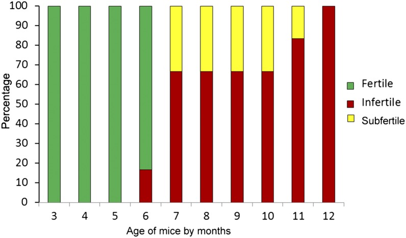 Fig. 6.