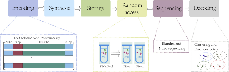 Figure 3