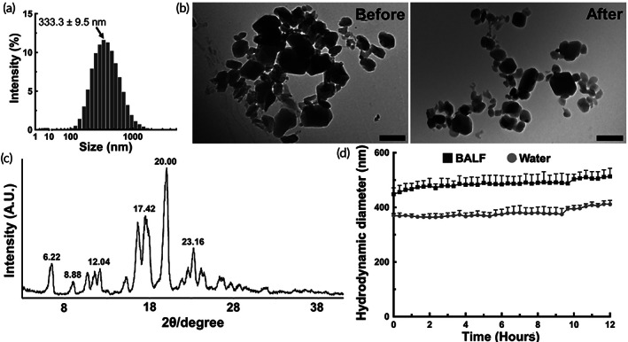 FIGURE 1