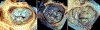 Fig. 1 |