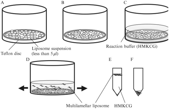 Figure 1.1