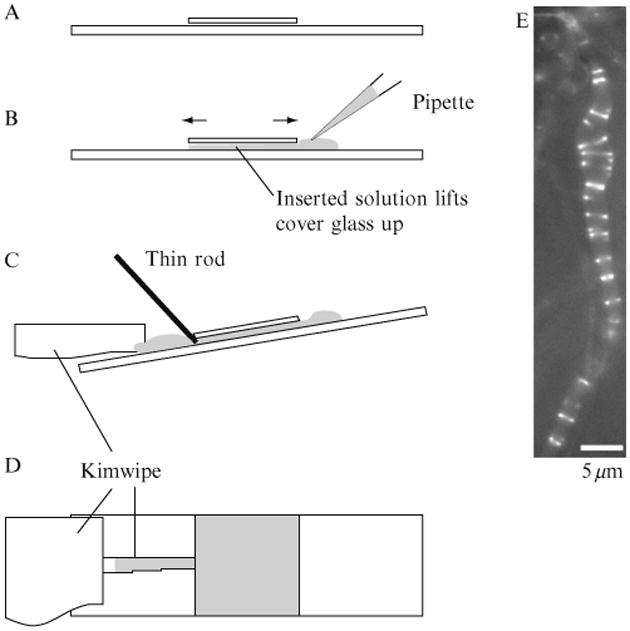 Figure 1.5