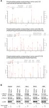 Figure 2—figure supplement 1.