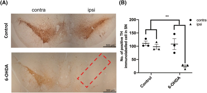 FIGURE 6