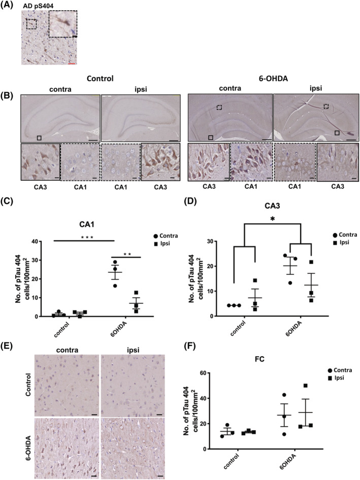 FIGURE 3