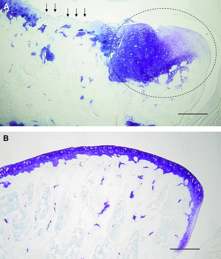 Fig. 1