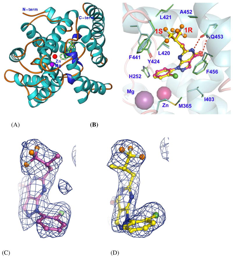 Fig. 2