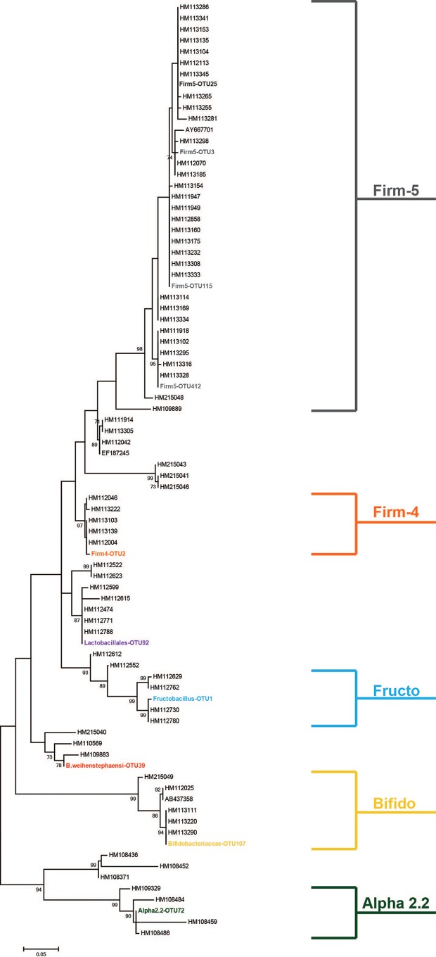 FIG 1