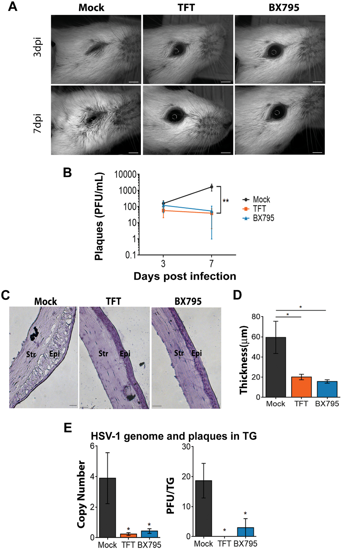 Figure 4: