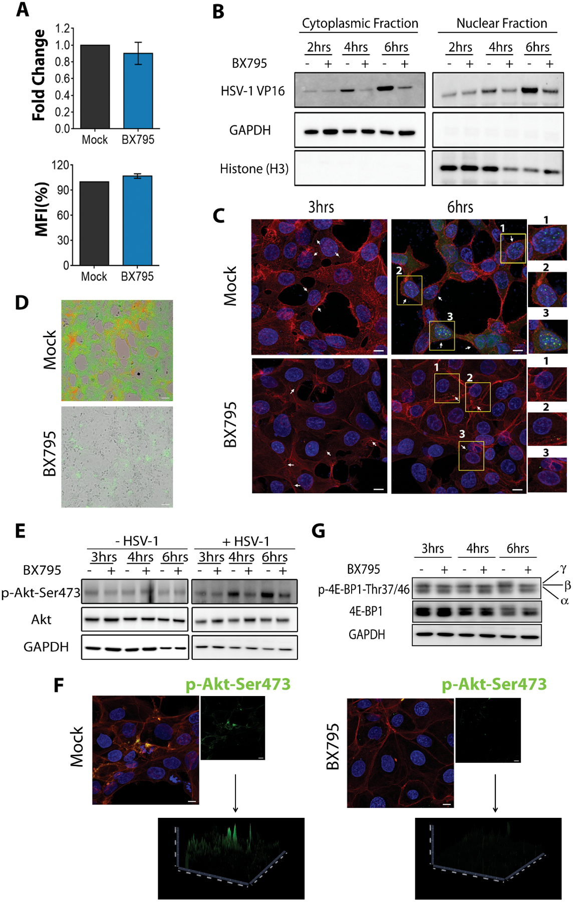 Figure 3: