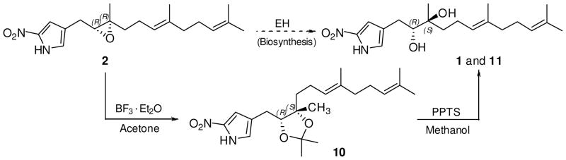 Scheme 2