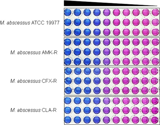 FIG 6