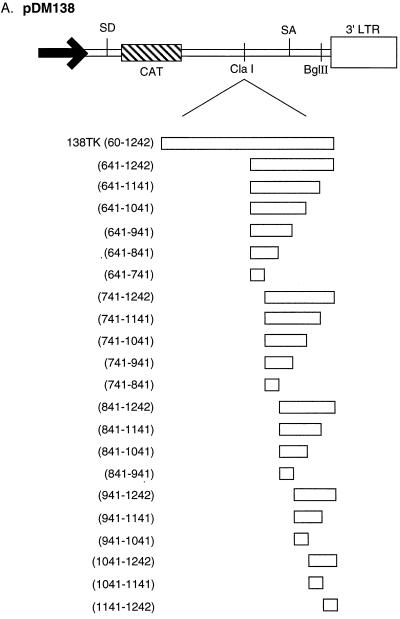 FIG. 5