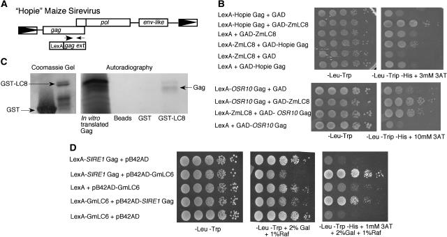 Figure 3.