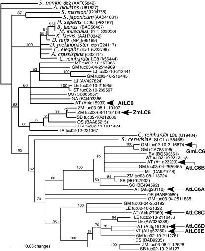 Figure 6.