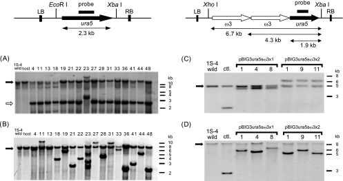 FIG. 4.