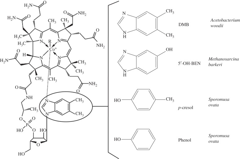 Figure 1.