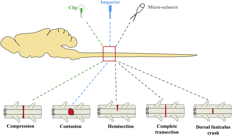 Fig. 1