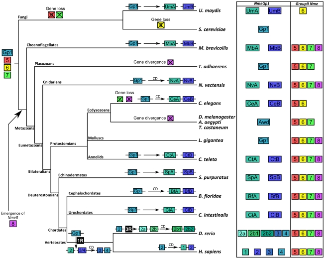 Figure 6