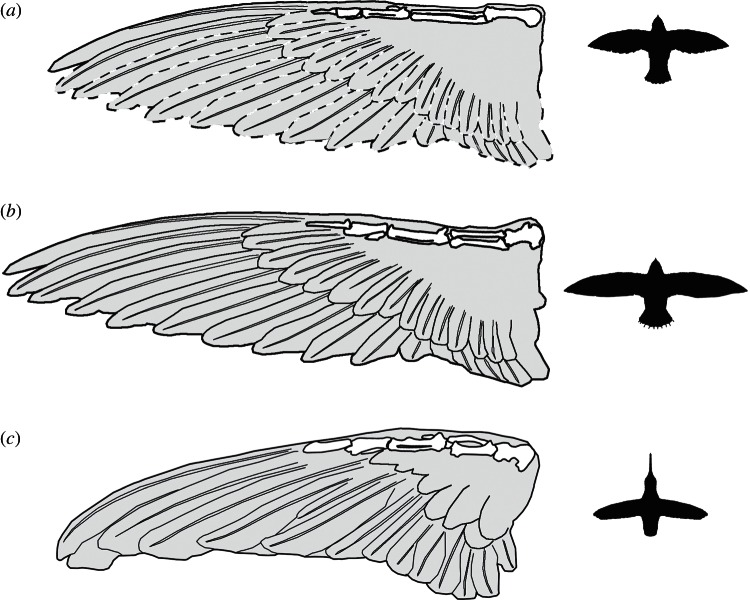 Figure 3.