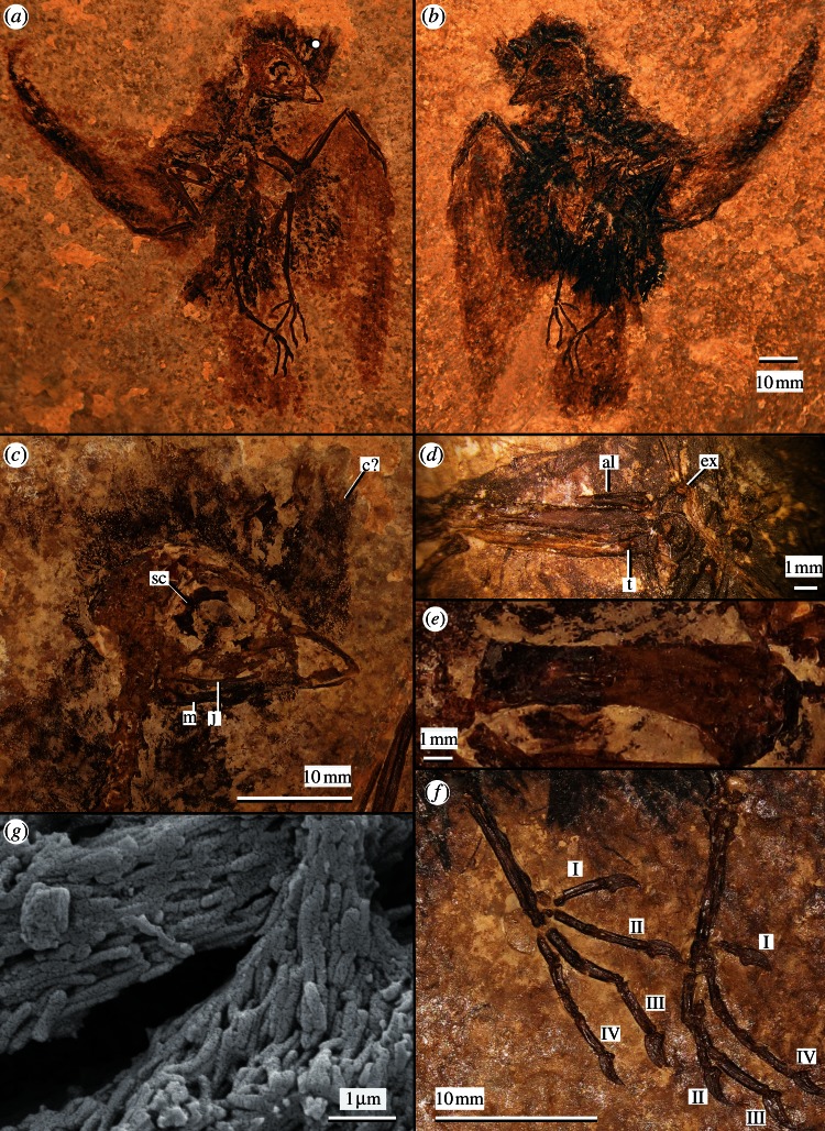 Figure 1.