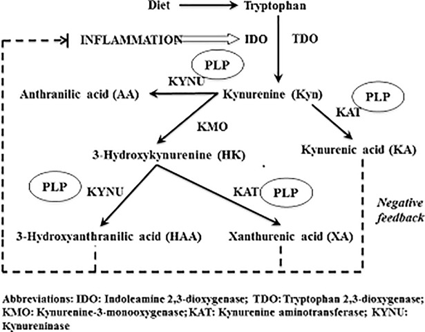 Fig 1