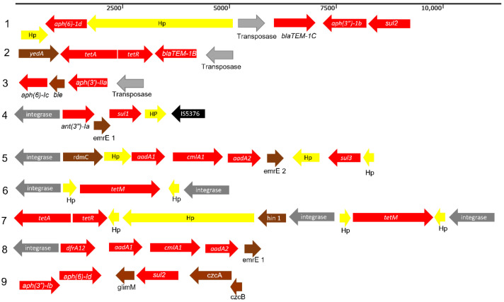 Figure 5