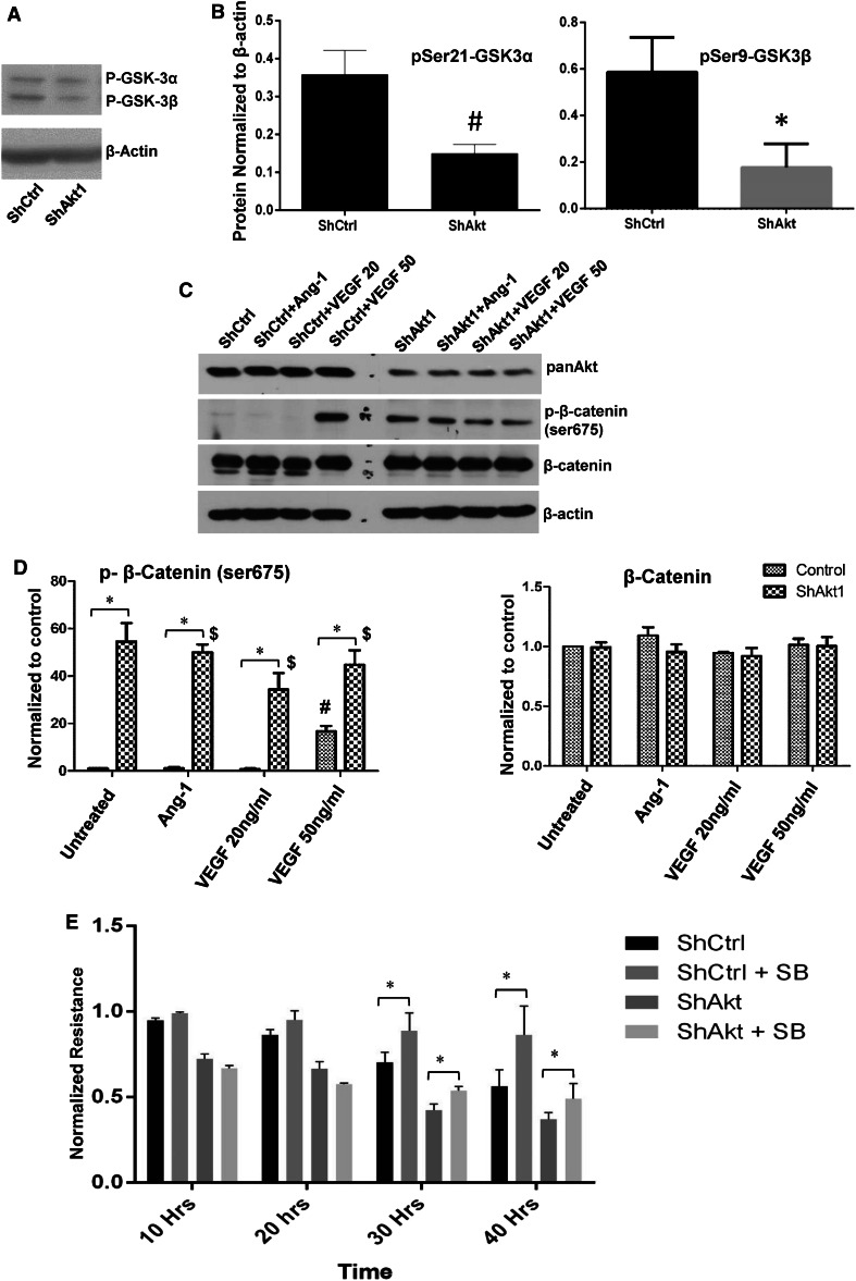 Fig. 8