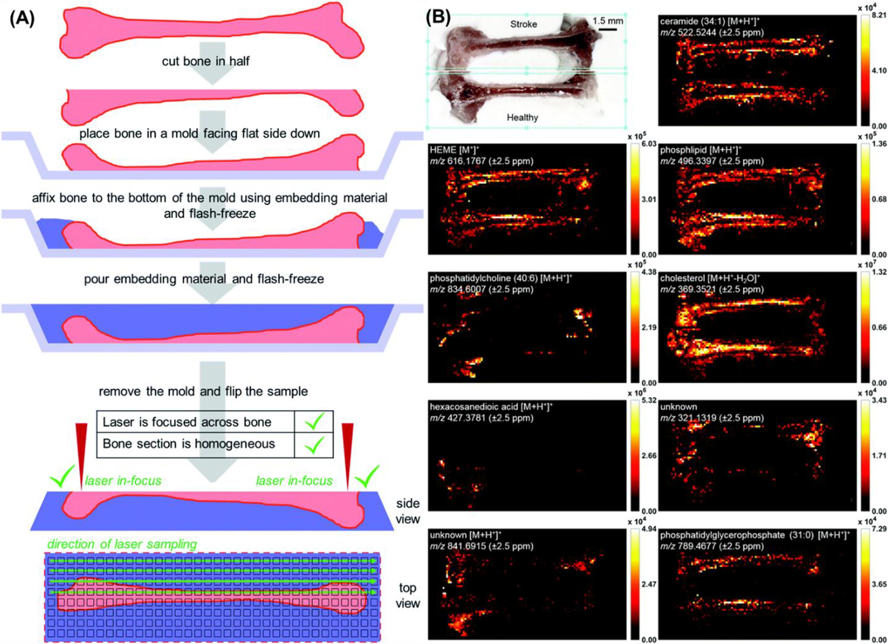 Figure 17.