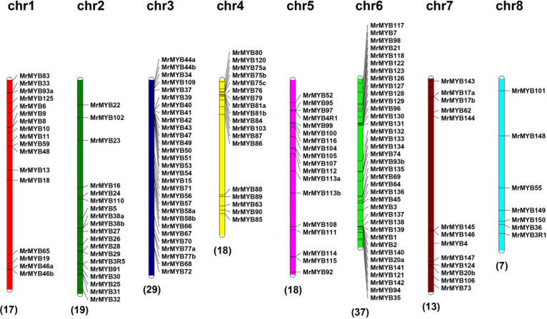 FIGURE 3