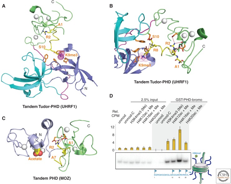 Figure 12.