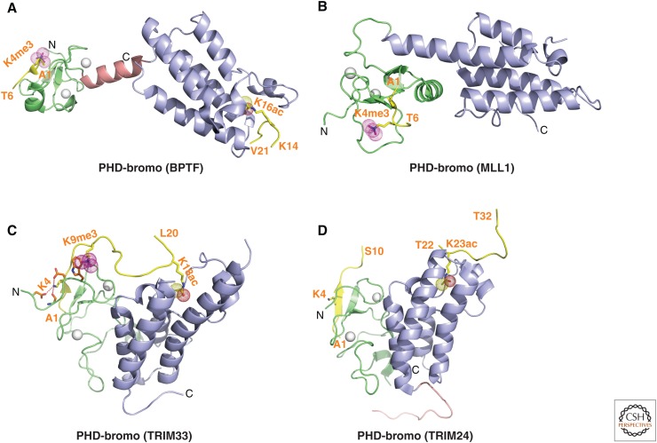 Figure 11.