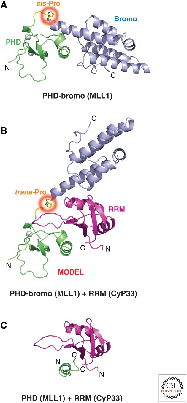 Figure 13.