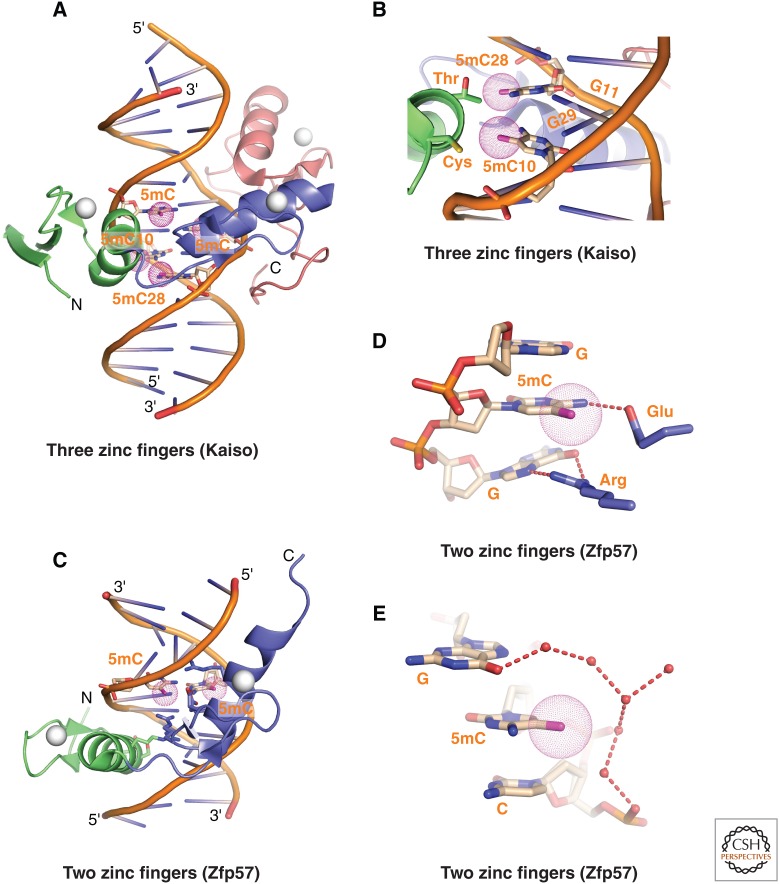 Figure 15.