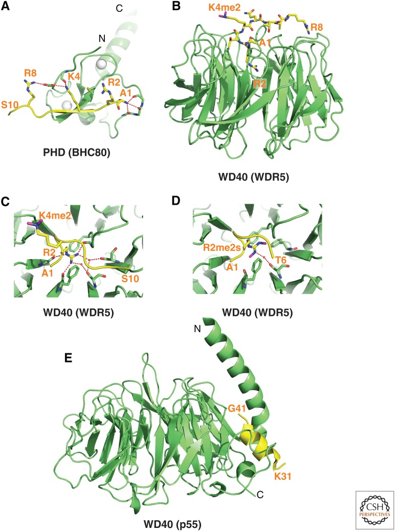 Figure 9.