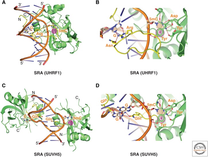 Figure 16.