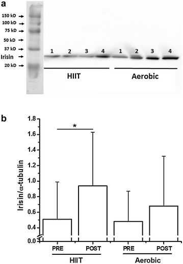 Fig. 1