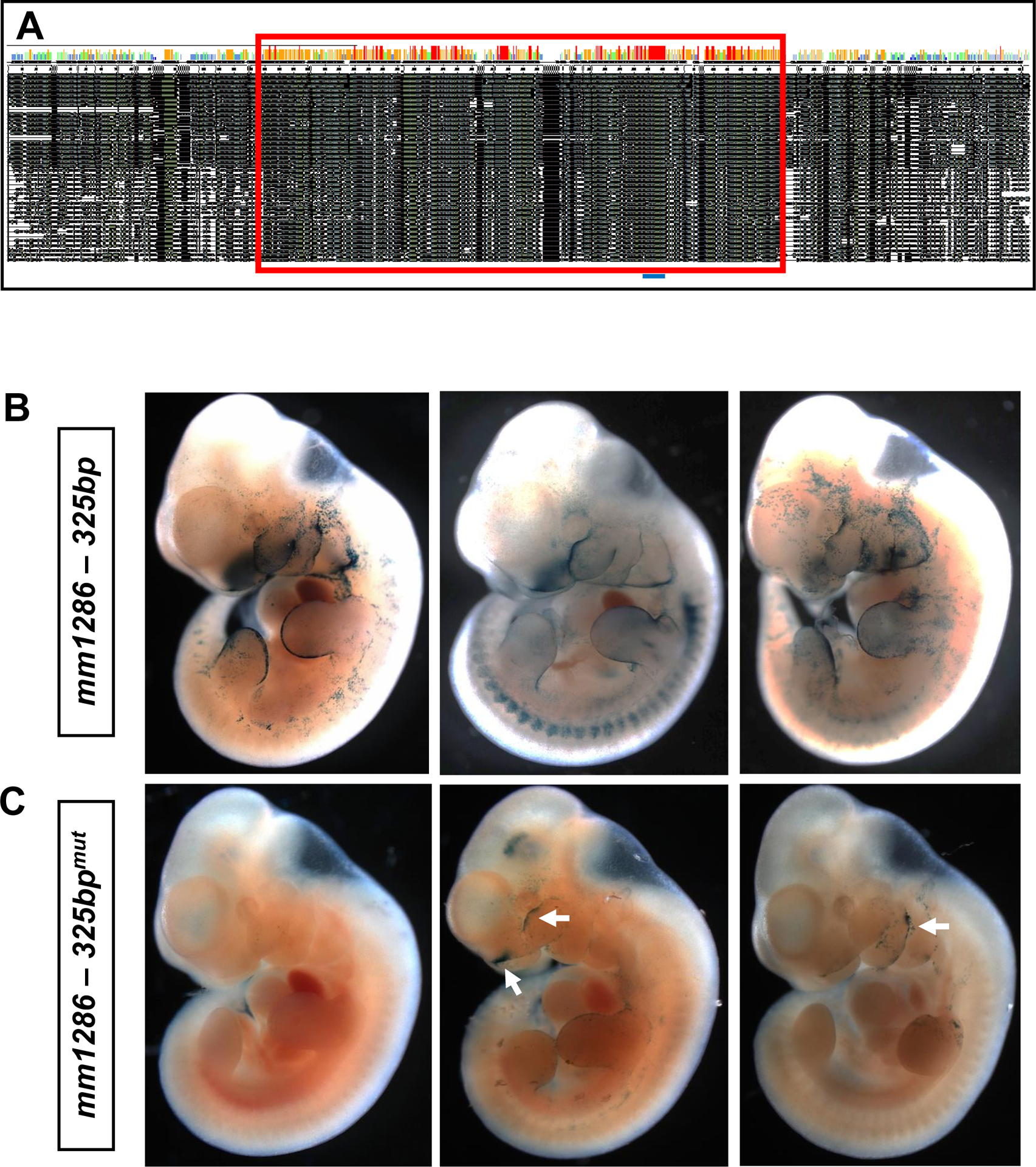 Fig. 4: