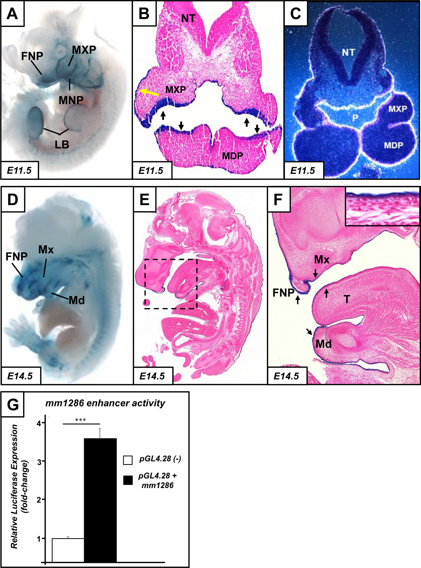 Fig. 2: