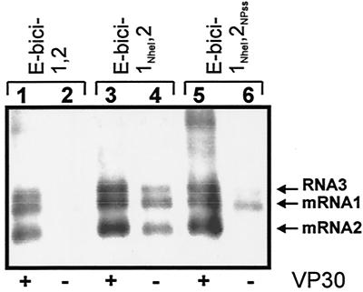 FIG. 5.