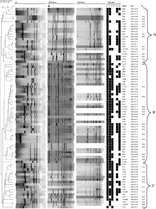 FIG. 1.