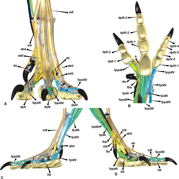 Figure 11