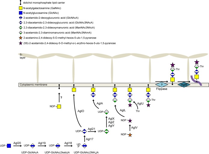 FIG 10