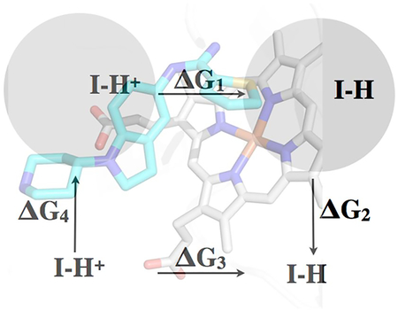 graphic file with name nihms-996937-f0001.jpg