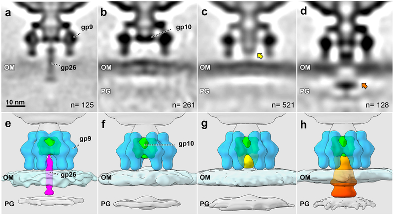 Figure 3.